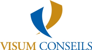 VisumConseil-logo